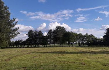 La petite Hugrie - Photo 16