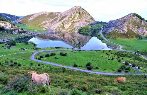 El Refugio de Andrin | Mar y Montaña – Llanes - Foto 36