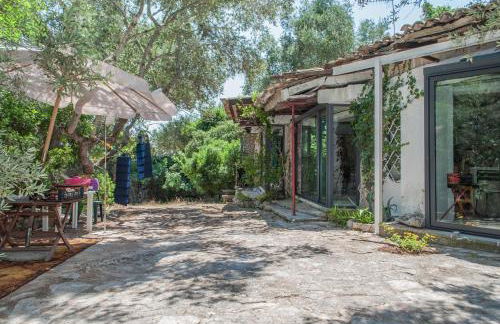 Limonaia in Salento - Foto 61