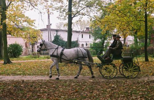 Pałac Baborówko - Foto 13