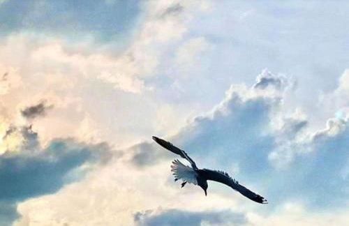 Apartment Altes Pastorenhus by Interhome - Foto 40