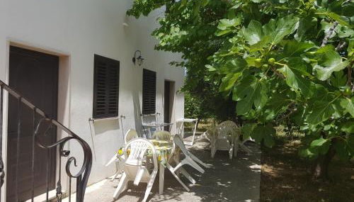 Dal Cavallaro - Foto 2