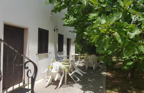 Dal Cavallaro - Foto 2