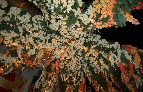 holiday on the island - Foto 35