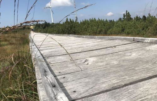 Azuria Black Forest Loft - Photo 31