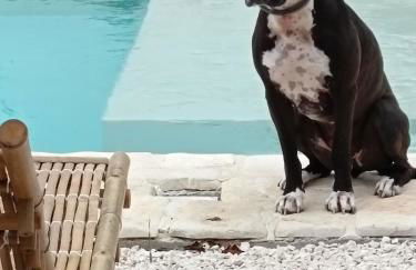 Trulli Fichi Luxury Trullo with Private Spa and Saltwater Pool - Foto 29