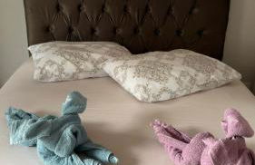 Cantinho do Aconchego - Foto 7