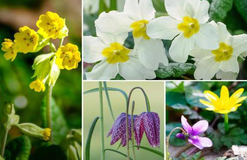 2 Bed in Chepstow oc-95046 - Photo 38