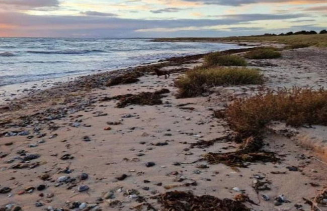 10 Person Holiday Home in Rodby-by Traum - Foto 30