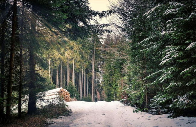 Spacious Holiday Home in Wienrode near Braunlage Ski Area - Foto 29