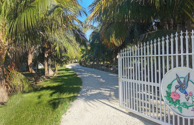 Atlantic View Luxury Villa with Pool - Foto 45