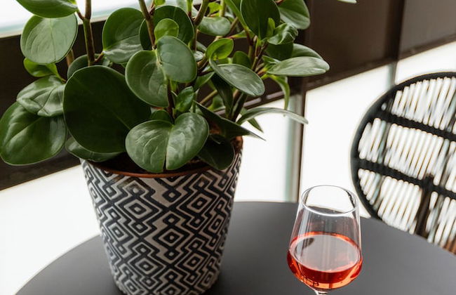 DeBlox living - Alhambra Apartments - Foto 76