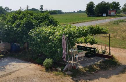 Apartments Davor - Photo 23