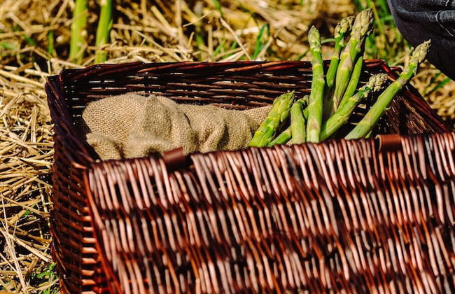 Asolo Norah's Hill Agri Rooms - Foto 72