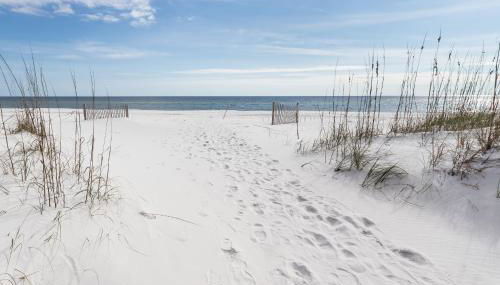 Pirates Bay A115 - Foto 4, Other