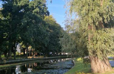 Nowodworski - Foto 49