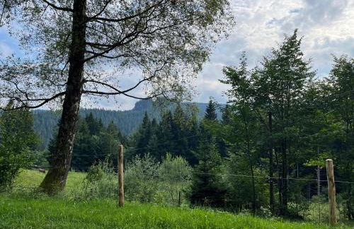 Siebenschläferhütte - Photo 35