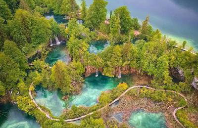 Yellow Rose - Foto 23