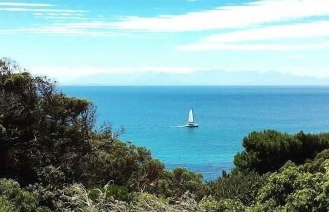 Seabreeze Luxury Two Bedroom Penthouse - Photo 33