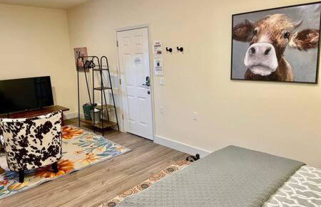 Crazy Cow Private HOT TUB BBQ Sleeps 2 - Foto 8