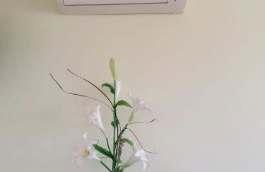 Robinson's house - Foto 14