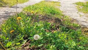 A Parrula, Mar, río y montaña - Foto 2