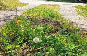 A Parrula, Mar, río y montaña - Foto 2