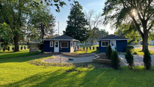 The little blue jay - Foto 2