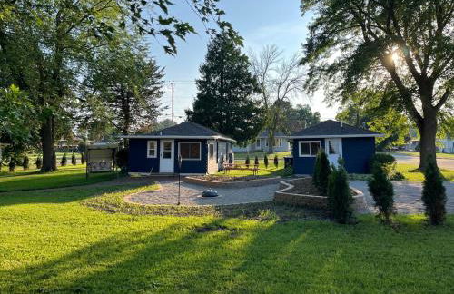 The little blue jay - Foto 2