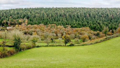 4 Bed in Gunnislake oc-77480 - Foto 5, Other