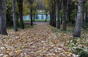 Studio du BoisDHyver - Foto 15