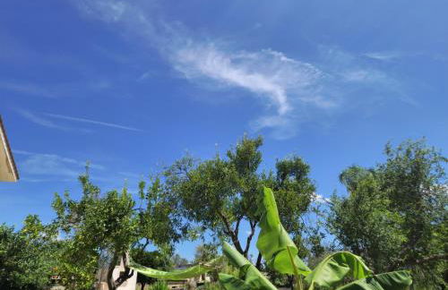 Villa Linda - Foto 45