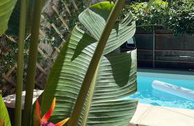 Very nice flat in Lerici 5 terre Villa Aurora in centro con parcheggio - Photo 26