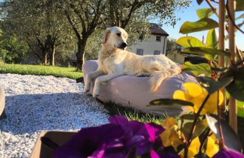 Agriturismo Casa Aurora - Foto 78