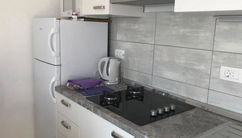 Captain Branko - Photo 5