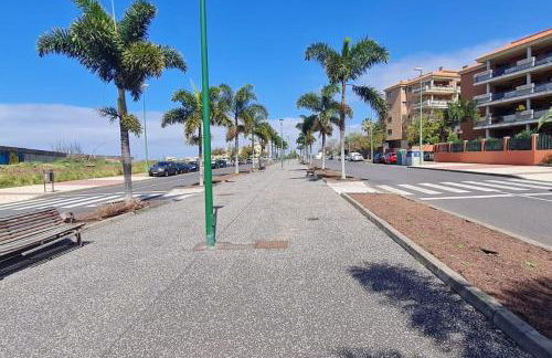 Jardín del Teide - Foto 24