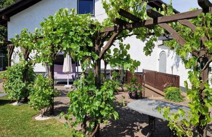 Ferienwohnung Harmonie - Foto 33