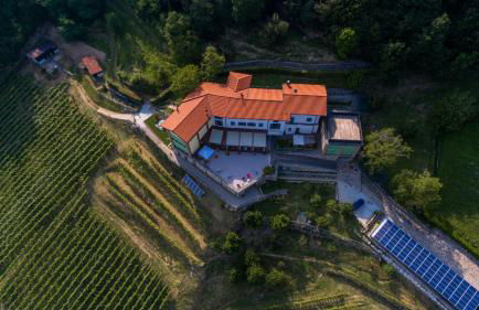 Polisena L'Altro Agriturismo Veg - Foto 3