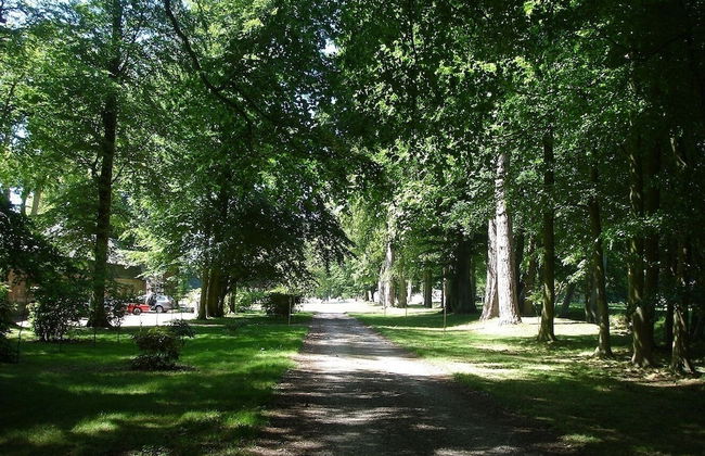 Chateau de Janville - Foto 37