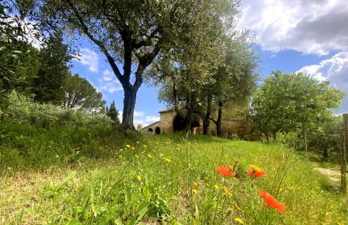 La Tonnaia - Foto 68