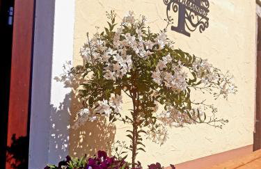 Fleischmannhof Do san ma dahoam - Photo 34