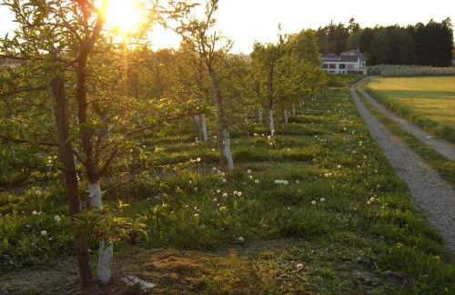 Ferienwohnung Bania - Foto 17