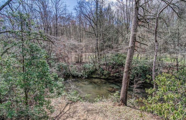 Blairsville River Cabin - Foto 37