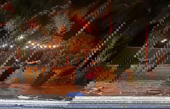 Paradise Bay - Foto 10