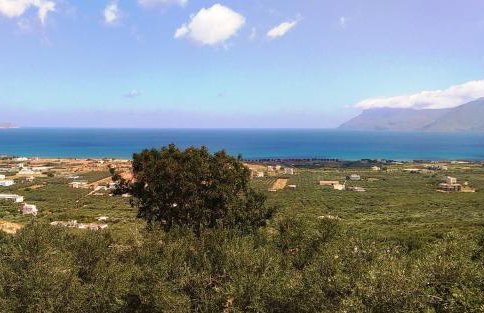 OLIVE BREEZE - Photo 34