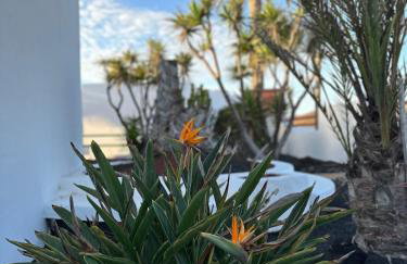 Juwel des Meeres Nudist Place FKK Complejo Nudista - Charco del Palo - - Foto 25