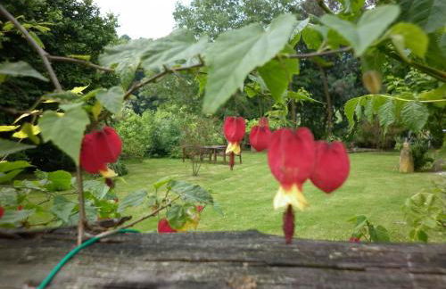 Las Navedas - Foto 13