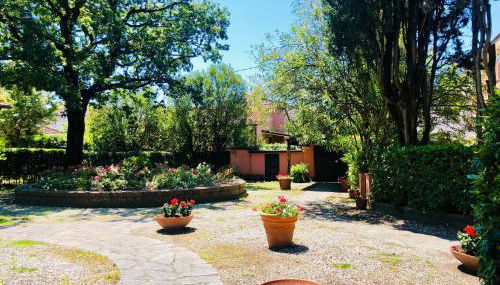 Sergiunca - Foto 3, Garden