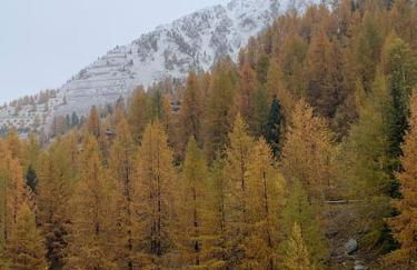 Studio Isola 2000 centre station front de neige - Photo 16