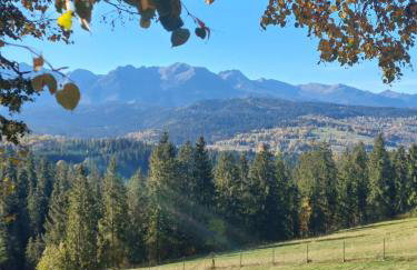 Panoramiczny Wierch - Foto 18